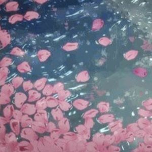 Meet your Posher, Naja